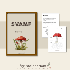Svamphäfte – Upptäck svamparnas spännande värld! Åk1