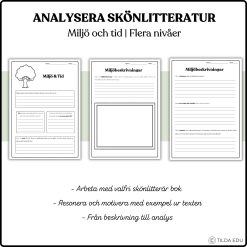 Analysera skönlitteratur – Miljö & tid