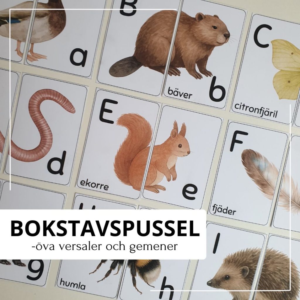 Bokstavspussel – versaler & gemener