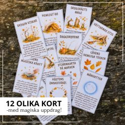 Månsken & skogsmagi – 12 magiska höstuppdrag
