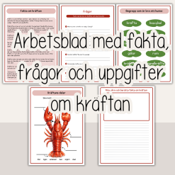 Fakta- och arbetshäfte om kräftan