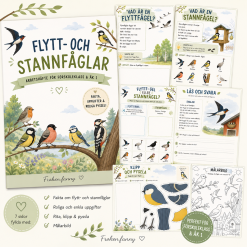 Flytt och stannfåglar