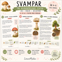 Temapaket svampar