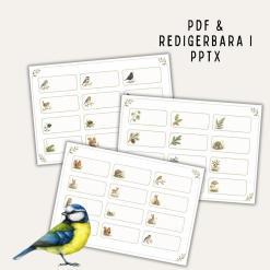 Namnlappar med djur och botanik, som pdf och redigerbara i pptx