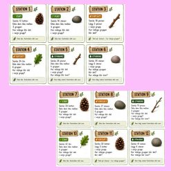Dela lika med naturen – Matematik utomhus | Division åk 3–6