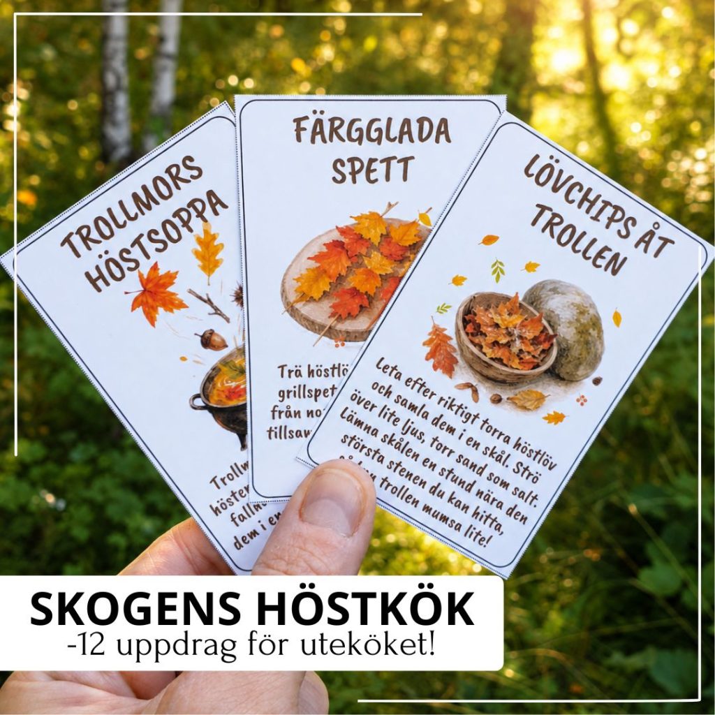 Skogens höstkök – 12 uppdrag för uteköket