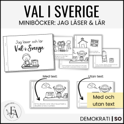 Valet 2026: : Min bok om valet i Sverige