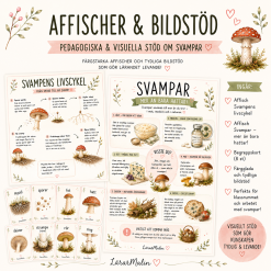 Temapaket svampar