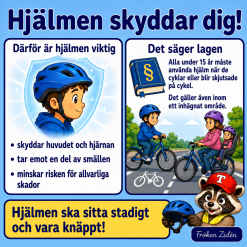 🚦 Trygga trafiken med Tvättbjörnen Tryggve – Åk 1–3