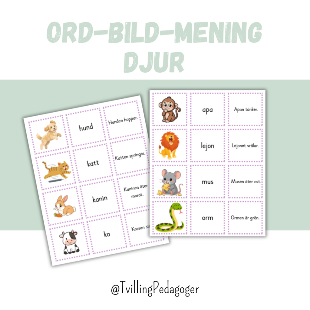 Ord-Bild-Mening DJUR