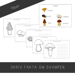 Färglägg och skriv fakta om svampen