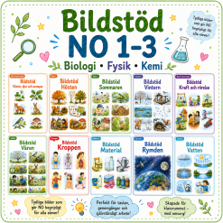 Bildstöd NO 1-3