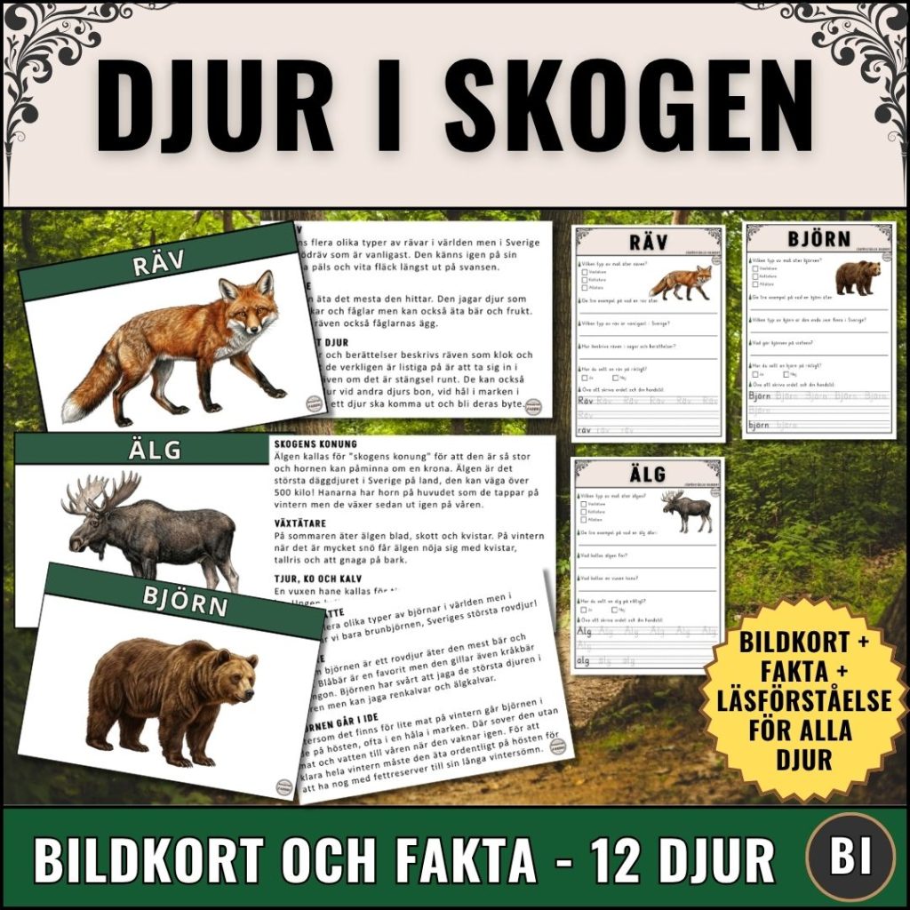 Djur i skogen – Bildkort med fakta och läsförståelse
