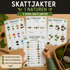 Skattjakt i naturen, 4 olika varianter