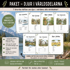 Paket med djur i de olika världsdelarna för åk 1-2