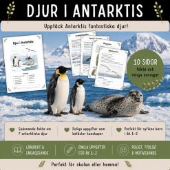 Djur i Antarktis, häfte med 10 sidor för åk 1-2