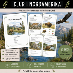 Djur i Nordamerika, häfte med 10 sidor för åk 1-2