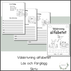 Välskrivning alfabetet - läs och skriv