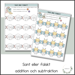 Sant eller falskt - addition och subtraktion