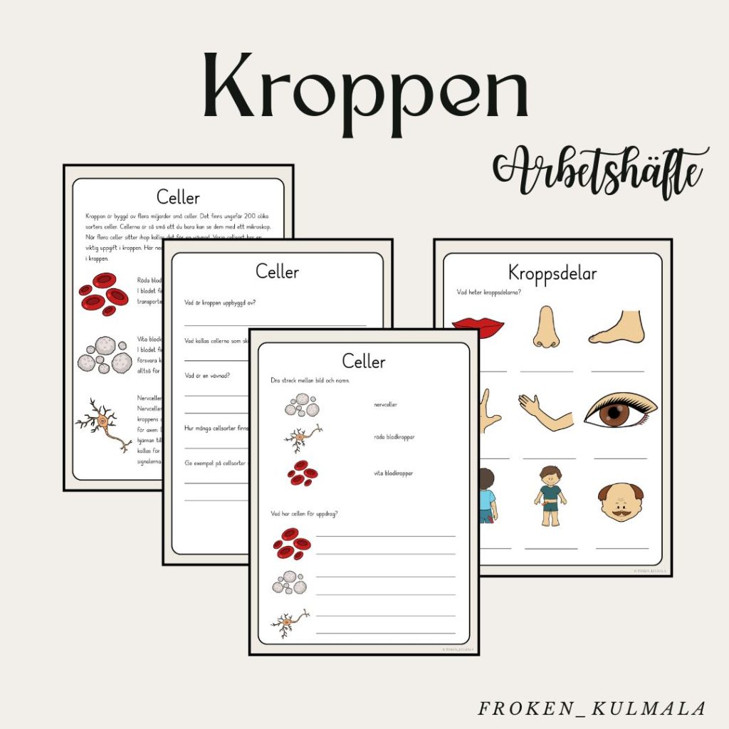 Kroppen arbetshäfte