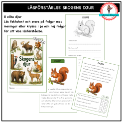 Läsförståelse - skogens djur