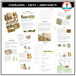 Stenåldern fakta + arbetshäfte