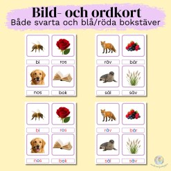 Bild- och ordkort - Alla vokaler