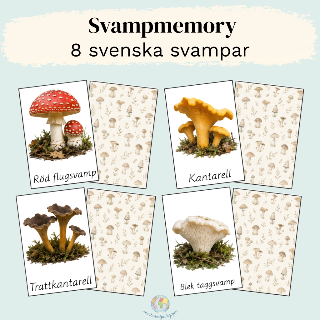 Svampmemory