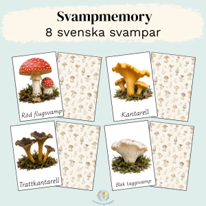 Svampmemory