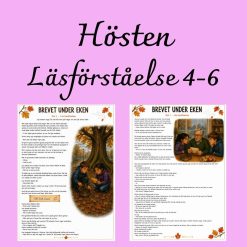 Brevet under eken – läsförståelse med mysterium | Åk 4–6