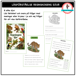 Läsförståelse - regnskogens djur