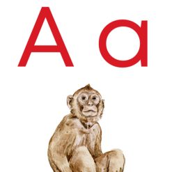 Väggalfabete
