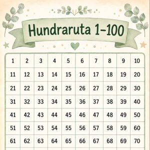 Hundraruta!
