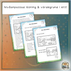 Nivåanpassad läsning och värdegrund