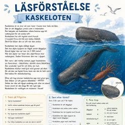 Tre läsförståelse texter!