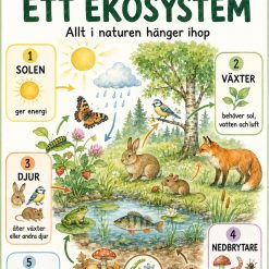 Plansch om ekosystem!