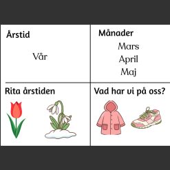 Årstider