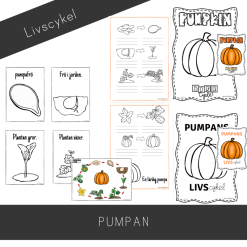 Pumpans livscykel