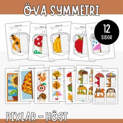 Symmetri med höstmotiv - Pixelpyssel i matematik