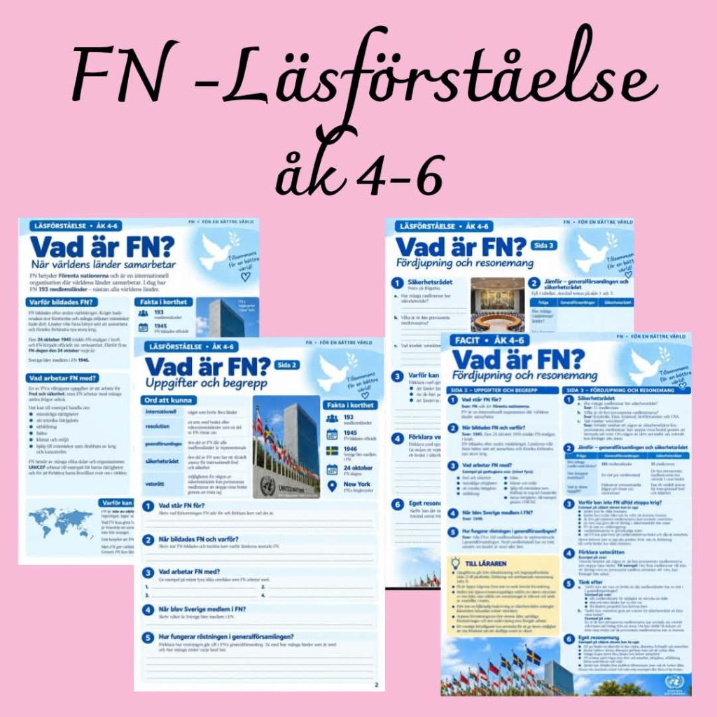 Vad är FN? – Läsförståelse, begrepp & resonemang | Åk 4–6