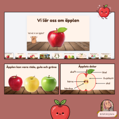 Arbeta med äpplen