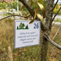 36-leken - Böckernas värld, språk och identitet