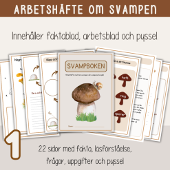 Höst - Det stora höstpaketet - Paket med Äppelboken, Svampboken och Pumpaboken.