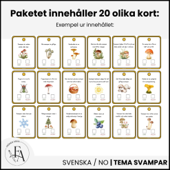 Svampar – Sant eller falskt | Faktakort