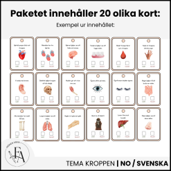 Kroppen | Sant eller falskt