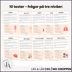 Kroppen | 10 Läsförståelsetexter