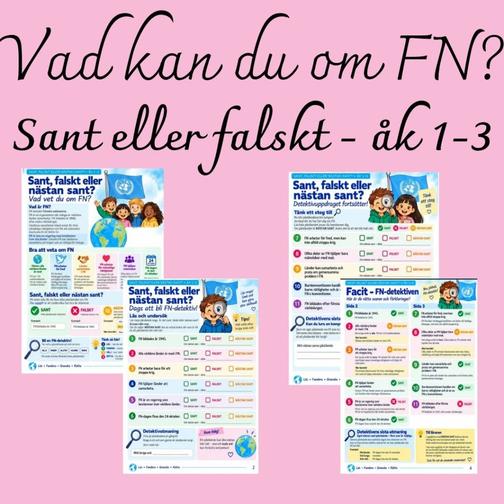 FN-detektiven – Sant, falskt eller nästan sant? | Åk 1–3