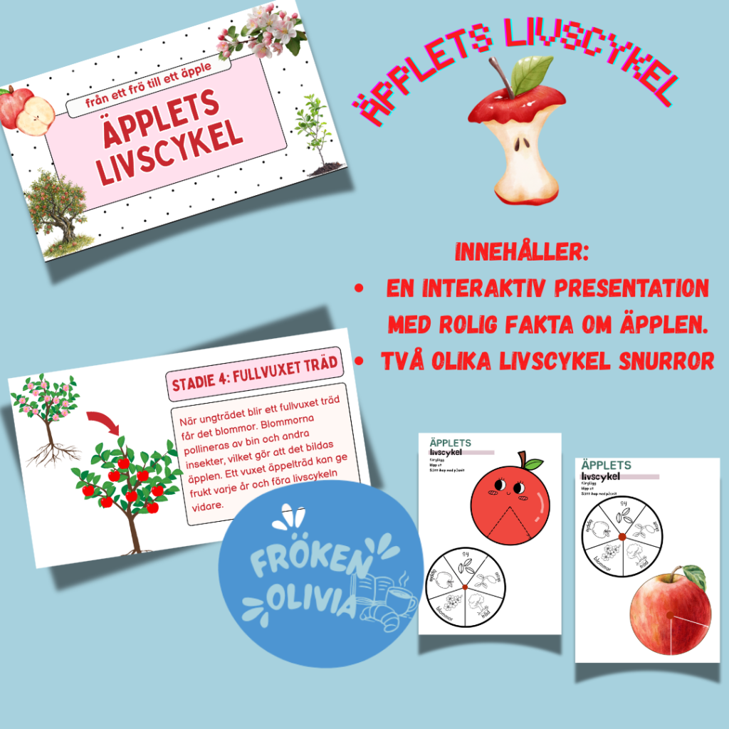 äpplets livscykel