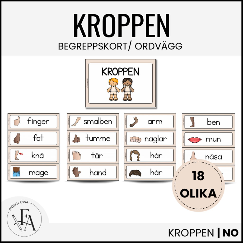 Kroppen: Bild- och begreppskort | Ordvägg