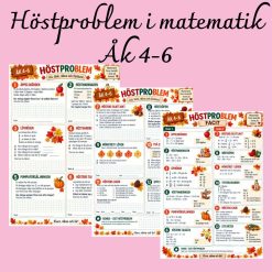 Höstproblem – problemlösning i matematik åk 4–6 🍂